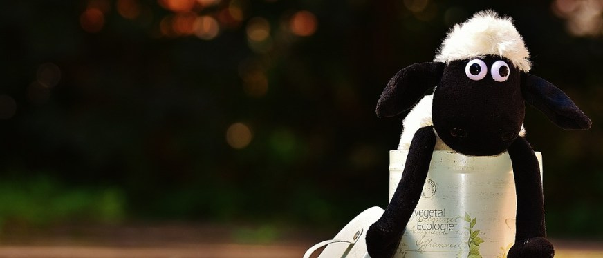 “刀乐哥”勇闯美国街头，两个单词卖爆义乌小玩具