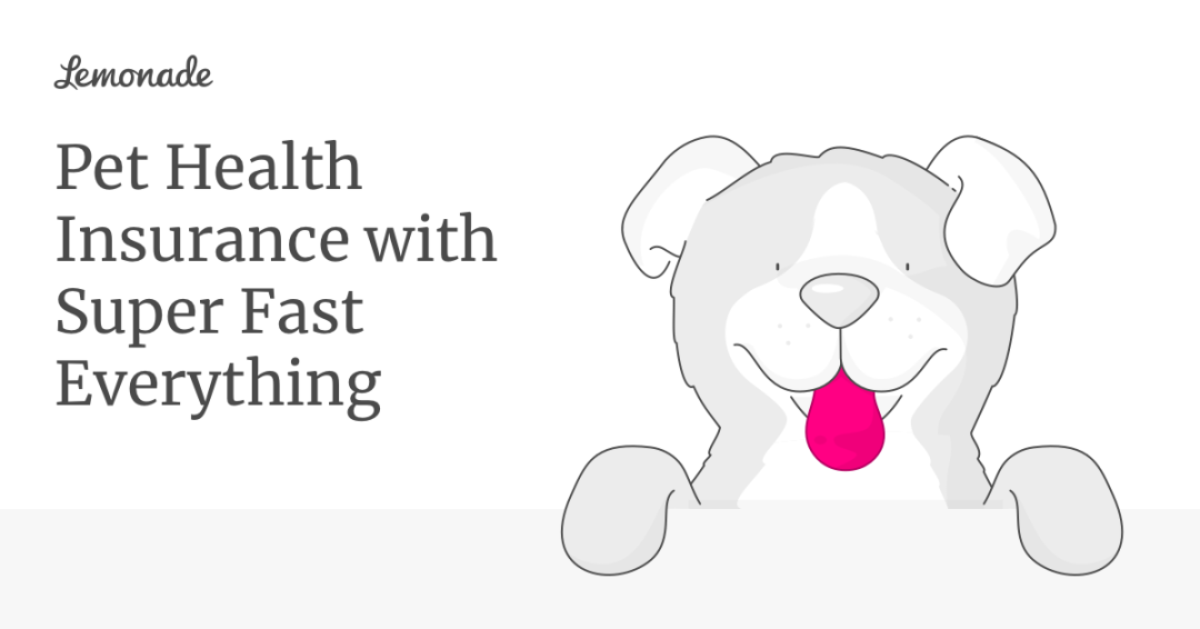 图片 3000亿美元宠物经济爆发!7大趋势揭秘下一波增长红利