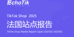 2025年TikTok Shop法国站点报告