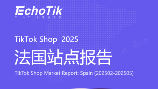 2025年TikTok Shop法国站点报告