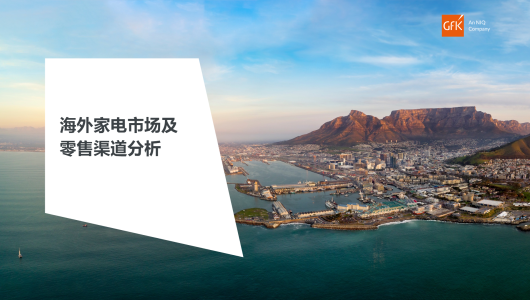 海外家电市场及零售渠道分析报告