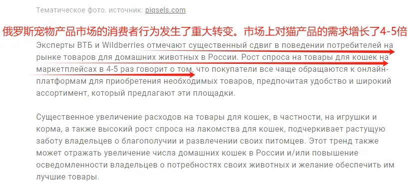 亚洲商品成俄罗斯市场新宠，消费者需求激增5.5倍