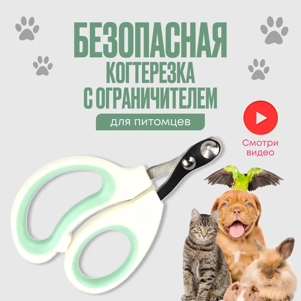 又一批新上榜的宠物神器，月销3000+件！Ozon爆款新品推荐