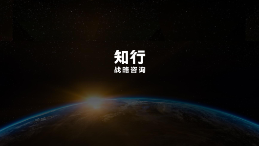 知行数据观察：婴童营养品品类