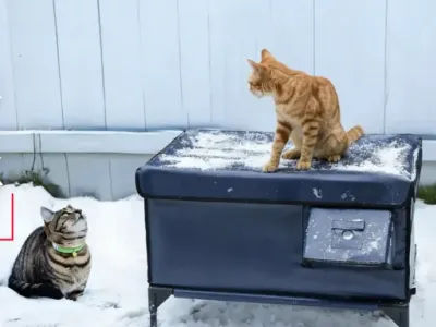 深圳加热猫屋，凭何撬动17亿美金市场？