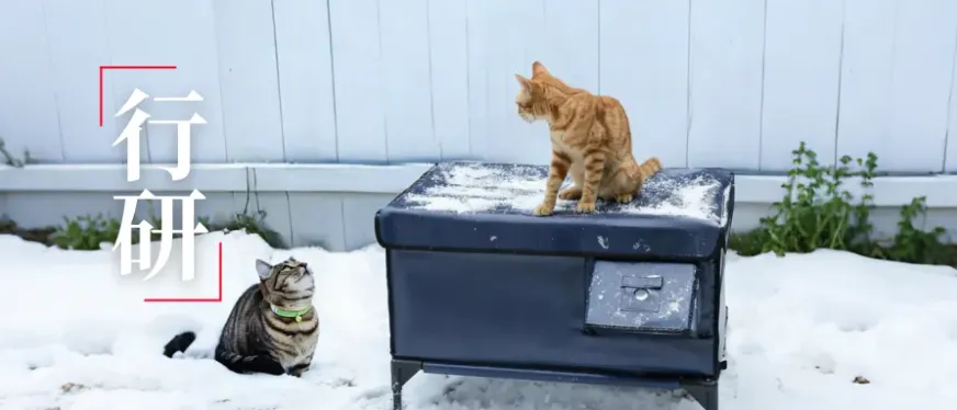 深圳加热猫屋，凭何撬动17亿美金市场？