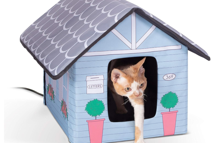 深圳加热猫屋，凭何撬动17亿美金市场？