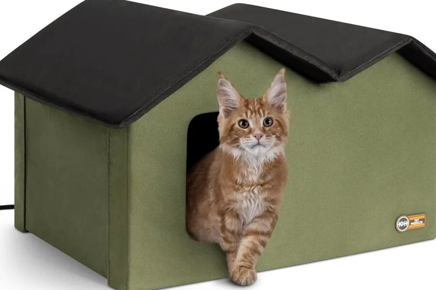 深圳加热猫屋，凭何撬动17亿美金市场？