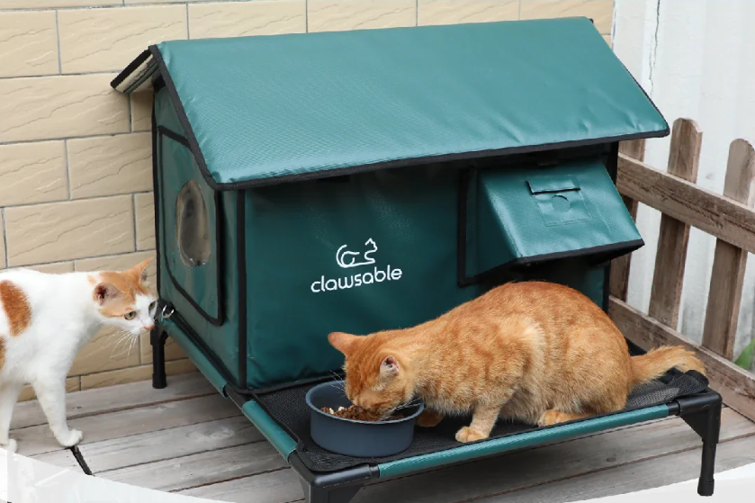 深圳加热猫屋，凭何撬动17亿美金市场？