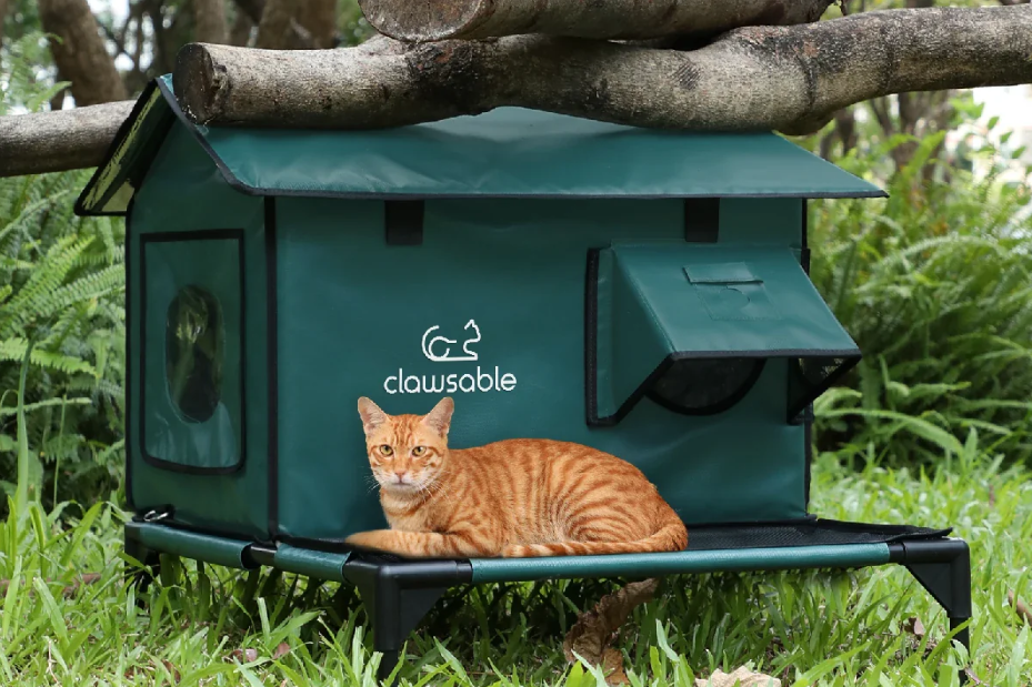 深圳加热猫屋，凭何撬动17亿美金市场？