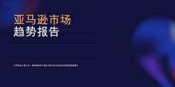 2026年亚马逊市场趋势报告