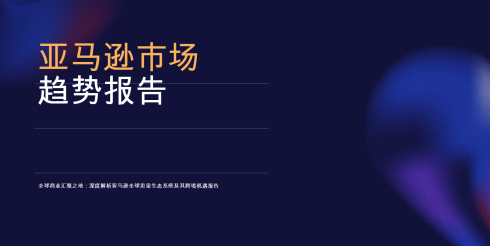 2026年亚马逊市场趋势报告