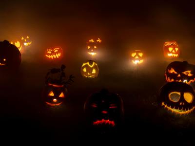 抓住万圣节销售高峰：亚马逊Q4 实战指南