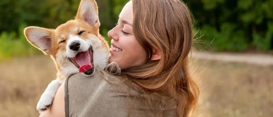 年收千万美元，从红海到细分赛道，这家只卖宠物服饰的品牌火爆出圈