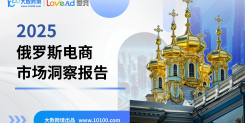 2025俄罗斯电商市场洞察报告
