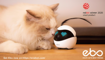 深圳Enabot机器人全球用户破80万!从逗猫神器到家庭安防的智能进化