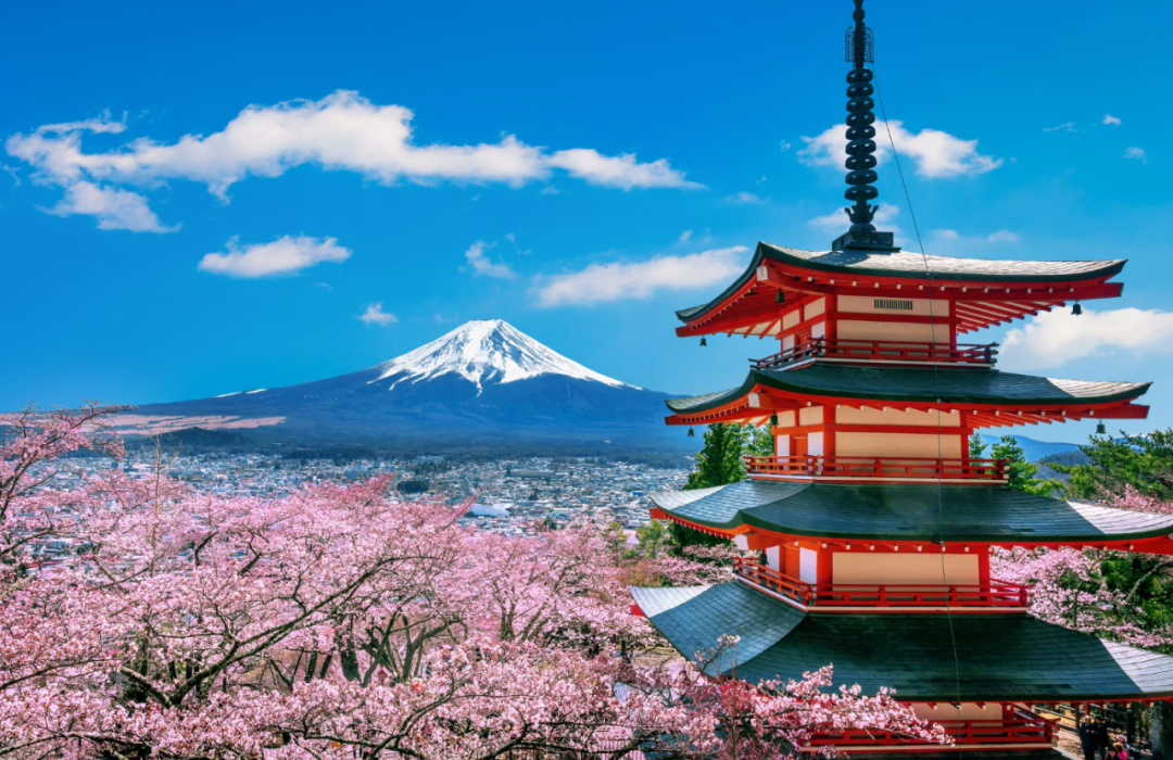 图片 年度盘点:2025TikTok十大事件