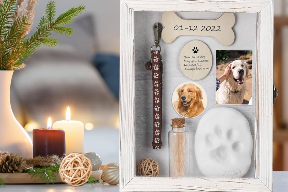 掘金24亿市场，如何把宠物告别做成大生意？