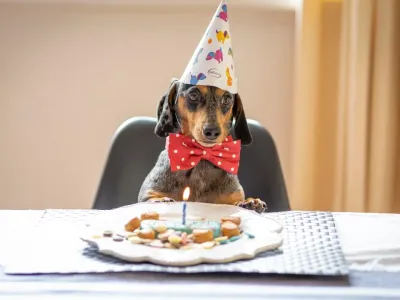 飙涨超400%！年轻人又撑起了一门新生意