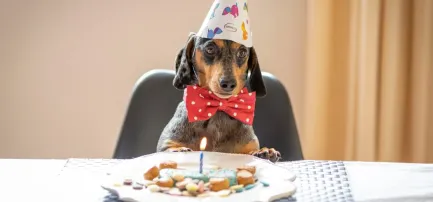 飙涨超400%！年轻人又撑起了一门新生意