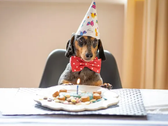 飙涨超400%！年轻人又撑起了一门新生意