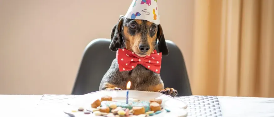 飙涨超400%!年轻人又撑起了一门新生意