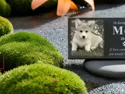 掘金24亿市场，如何把宠物告别做成大生意？