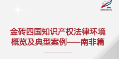 金砖四国知识产权法律环境概览及典型案例——南非篇