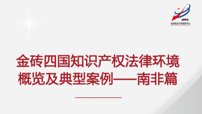 金砖四国知识产权法律环境概览及典型案例——南非篇