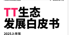 2025上半年TikTok生态发展白皮书