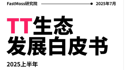 2025上半年TikTok生态发展白皮书