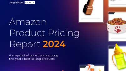 2024 年亚马逊产品定价报告