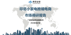 印尼小家电跨境电商市场调研报告