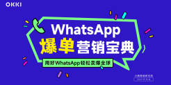 WhatsApp爆单营销宝典