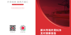 新兴市场外贸B2B支付洞察报告.pdf