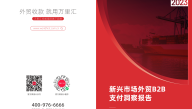 新兴市场外贸B2B支付洞察报告.pdf