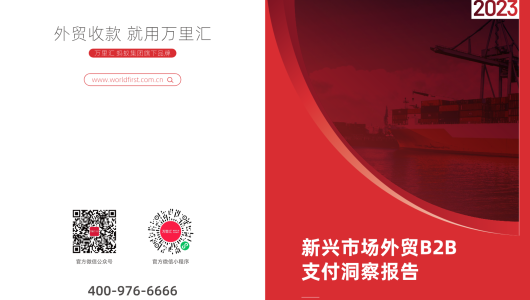 新兴市场外贸B2B支付洞察报告.pdf