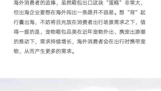 2023宠物箱包出海趋势洞察报告