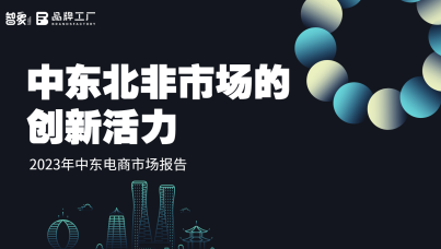 2023年中东跨境电商市场报告(品牌工厂)