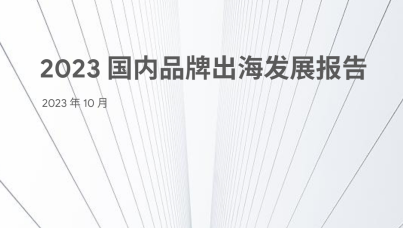 2023 国内品牌出海发展报告