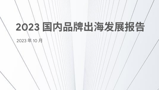 2023 国内品牌出海发展报告