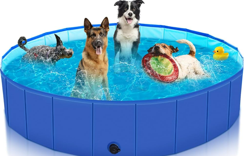 图片 日本春夏宠物用品跨境爆品指南:8 大潜力款抢占旺季风口!