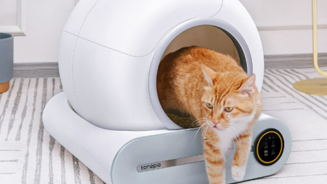 跨境电商宠物品类爆款推荐：PetPivot 智能猫砂盆，美区 TikTok 狂揽 5000 万 GMV 的出海标杆！