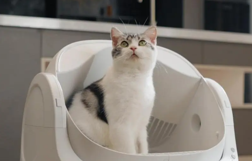 图片 跨境电商宠物品类爆款推荐:PetPivot 智能猫砂盆,美区 TikTok 狂揽 5000 万 GMV 的出海标杆!