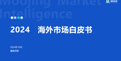 2024年海外市场白皮书