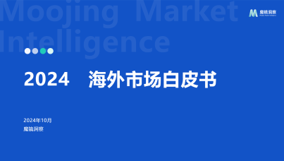 2024年海外市场白皮书