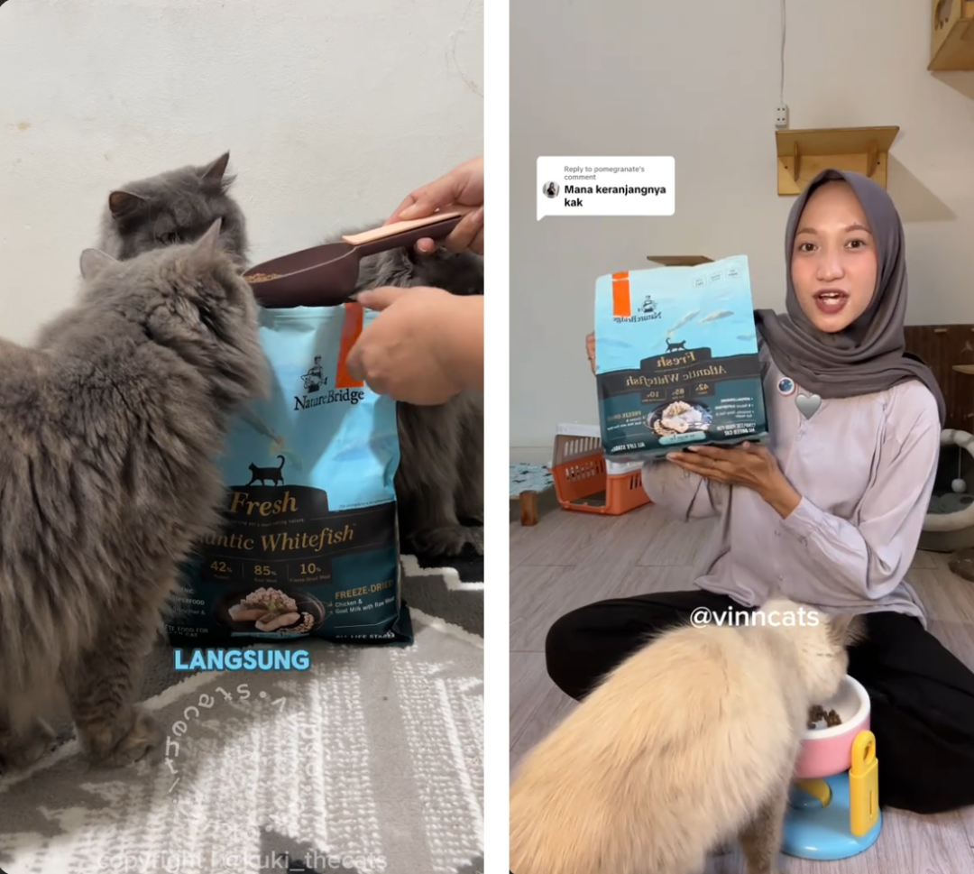 图片 把中药材配进猫粮,国产老牌在印尼一年卖掉1.5万吨