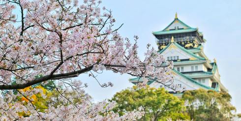 日本跨境物流模式对比：哪种发货更省钱？