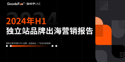 2024年上半年独立站品牌出海营销报告