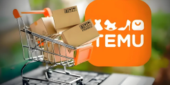 Temu二季度GMV增速首次跌破10%，平台集体收紧海外仓，拟开中东站